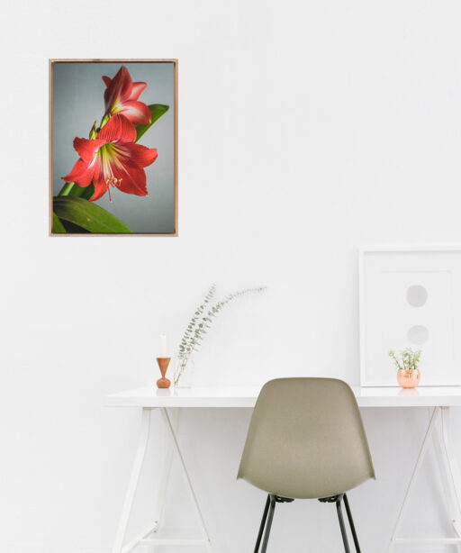 Red Tulip Floral FLORES_018