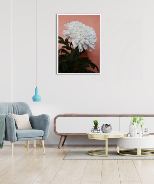 White Chrysanthemum Floral FLORES_008