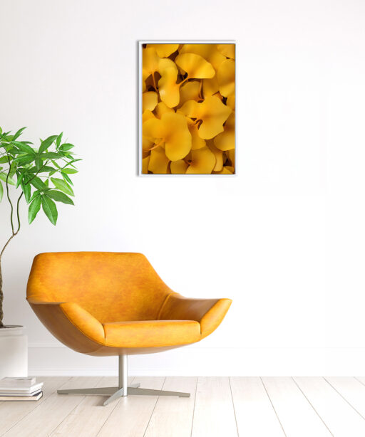 Yellow Leaves Flora FOLHAGENS_17