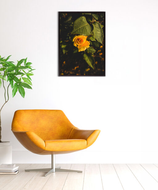Yellow Rose Floral FLORES_020