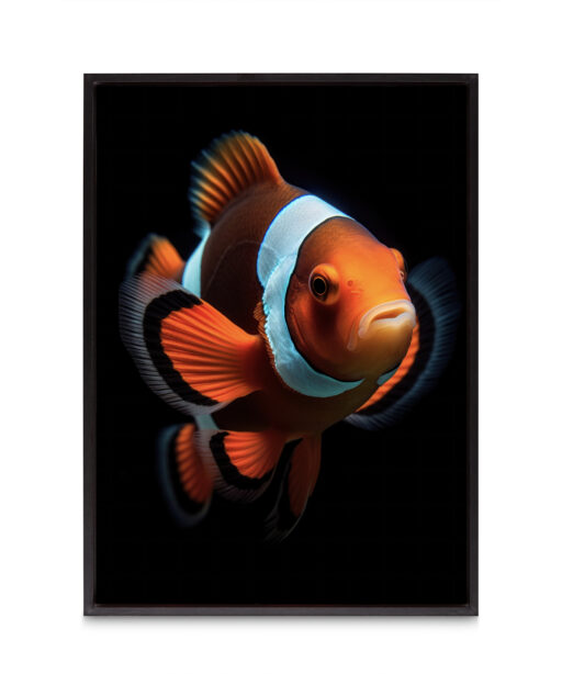 Nemo Children-Youth ACQUA 01 - Image 8