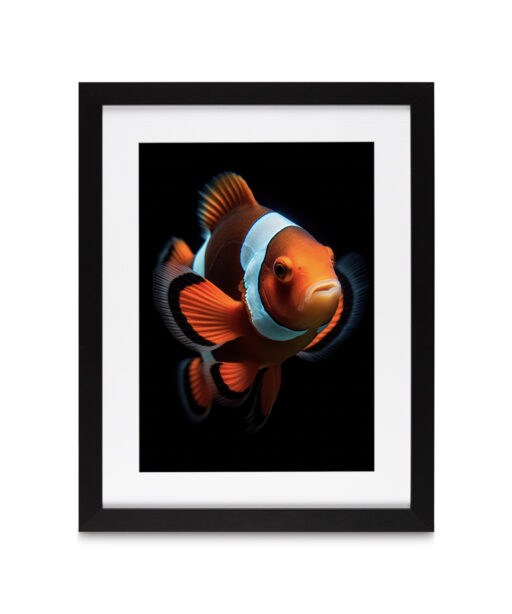 Nemo Children-Youth ACQUA 01 - Image 4
