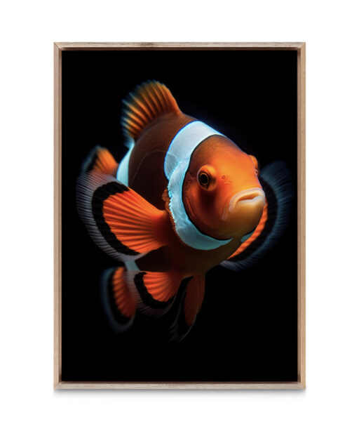 Nemo Children-Youth ACQUA 01 - Image 5
