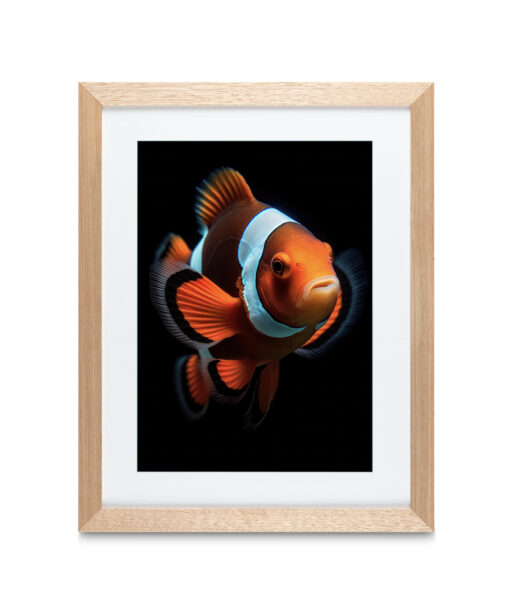 Alternative view of Nemo Children-Youth ACQUA 01
