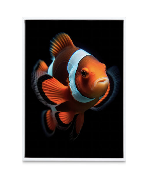 Nemo Children-Youth ACQUA 01 - Image 6