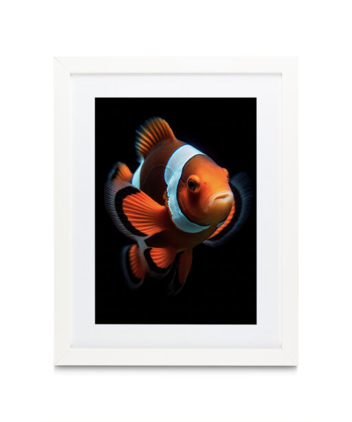 Nemo Children-Youth ACQUA 01 - Image 3