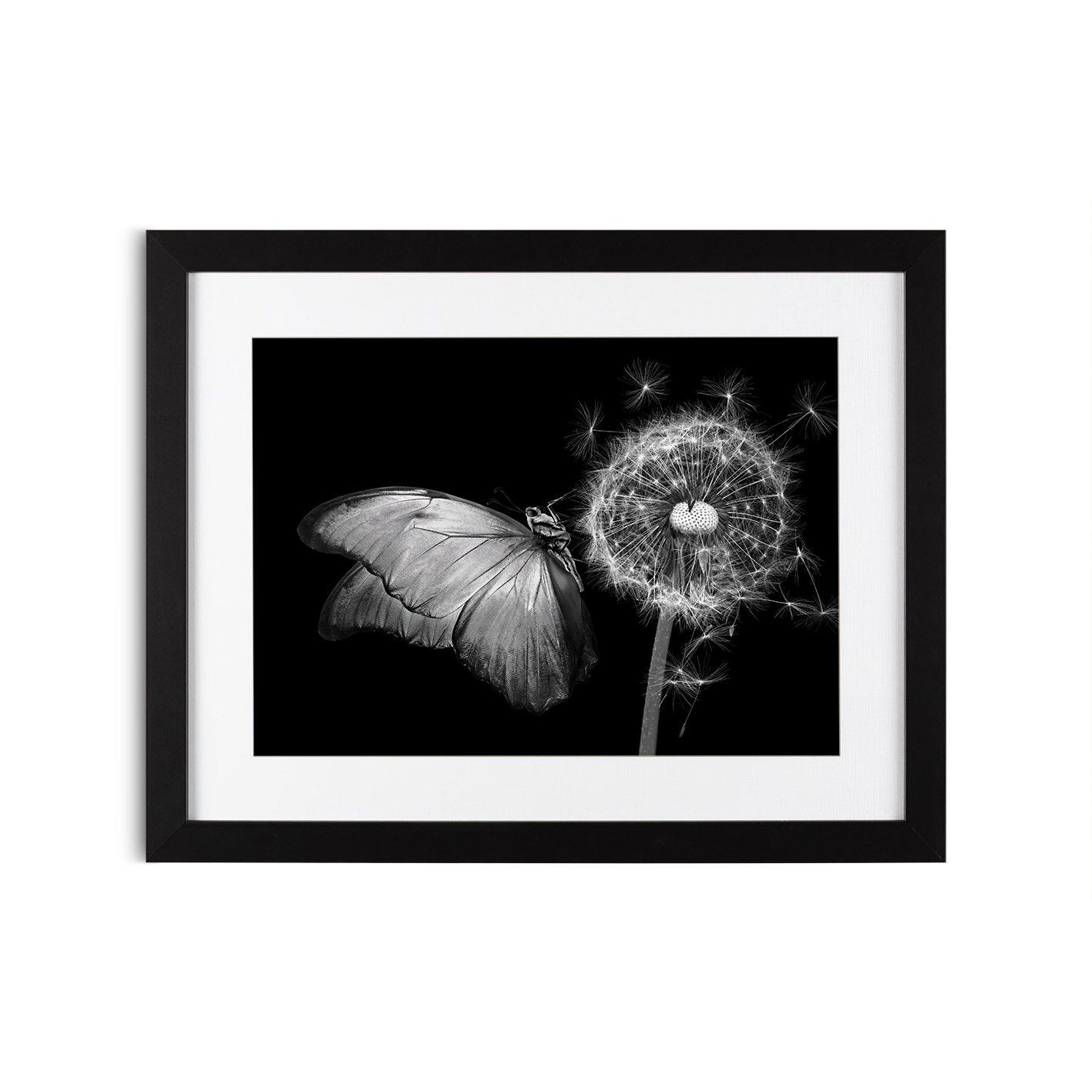 B&W Butterfly Animals BORBOLETAS 04 - Image 4