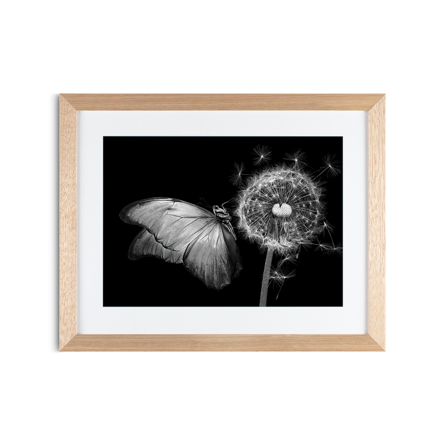 B&W Butterfly Animals BORBOLETAS 04 - Image 2