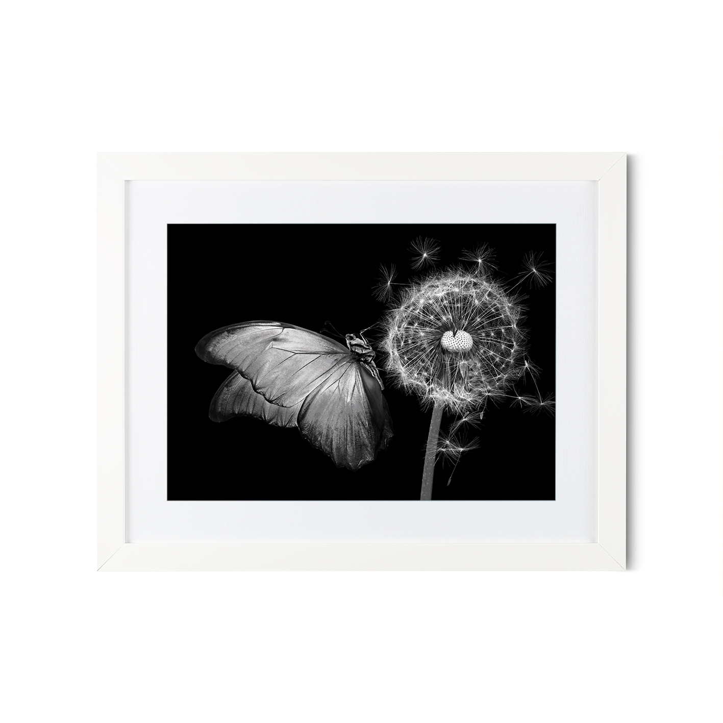 B&W Butterfly Animals BORBOLETAS 04 - Image 3