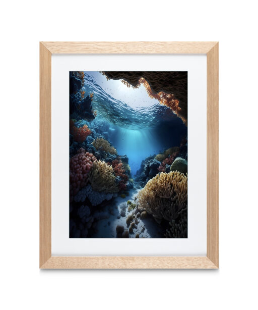 Alternative view of Coral Reef Underwater DEEPOCEAN 19