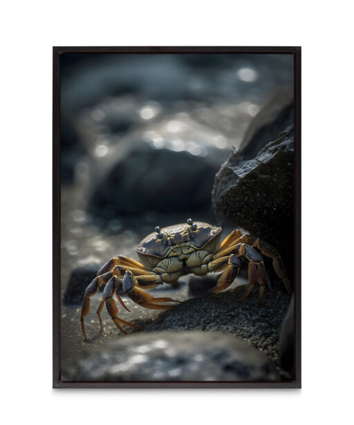 Sandcrab Underwater DEEPOCEAN 20 - Image 8