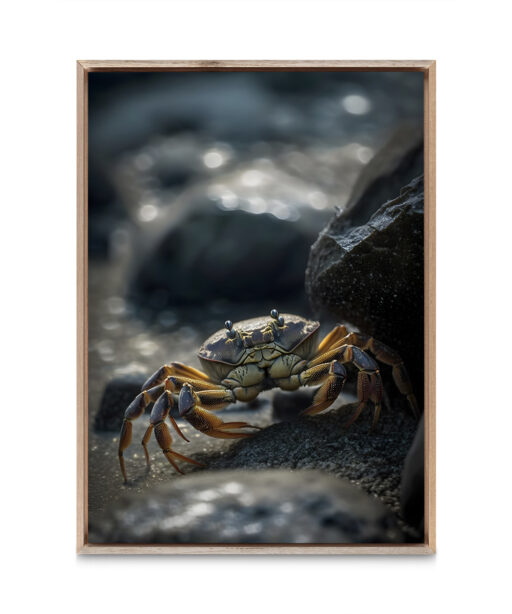 Sandcrab Underwater DEEPOCEAN 20 - Image 5