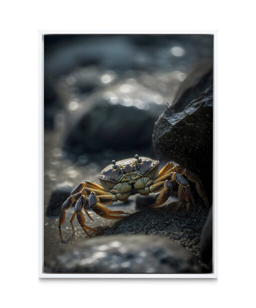 Sandcrab Underwater DEEPOCEAN 20 - Image 6