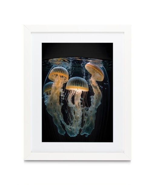 Jellyfish Underwater DEEPOCEAN 26 - Image 3