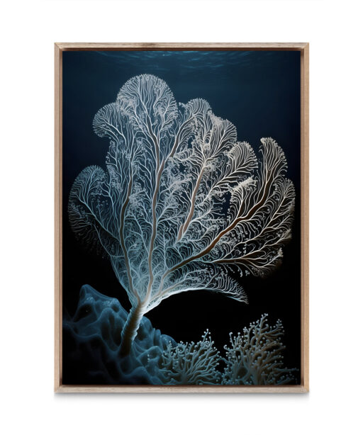 Fan Coral Underwater DEEPOCEAN 29 - Image 5