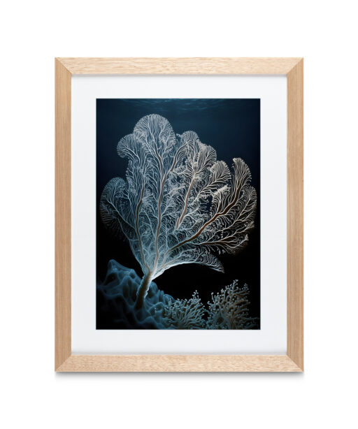 Alternative view of Fan Coral Underwater DEEPOCEAN 29