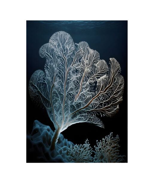 Fan Coral Underwater DEEPOCEAN 29 - Image 7