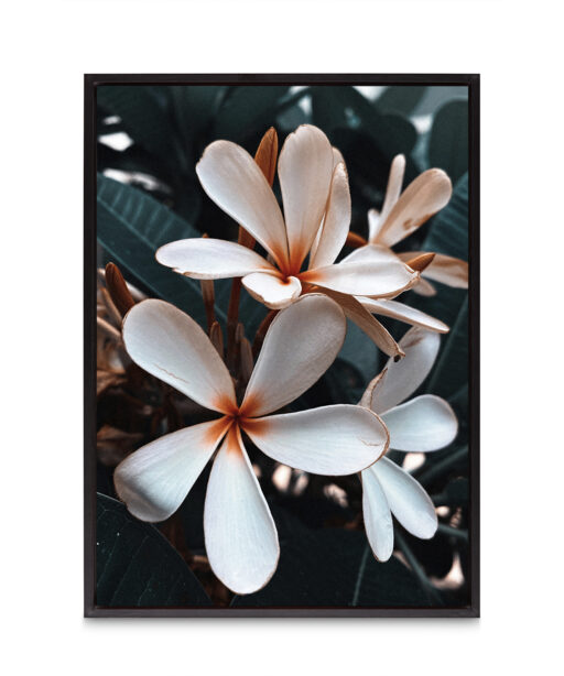 Beach Frangipani Floral FLORES_055 - Image 8