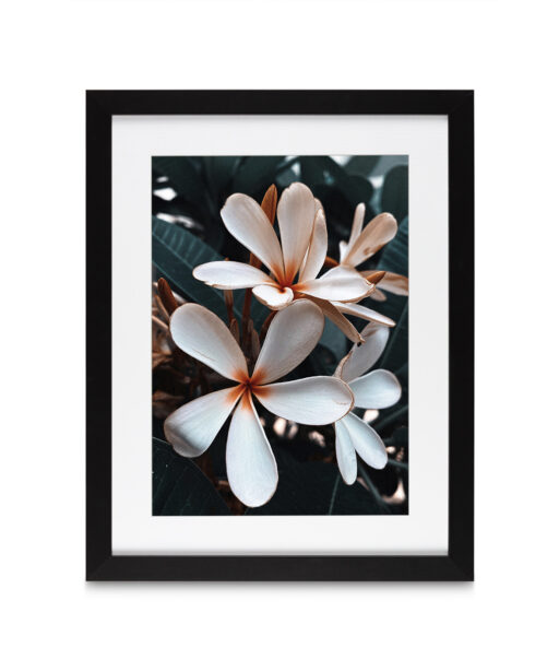 Beach Frangipani Floral FLORES_055 - Image 4