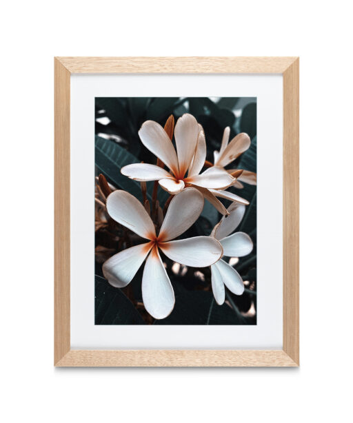 Alternative view of Beach Frangipani Floral FLORES_055
