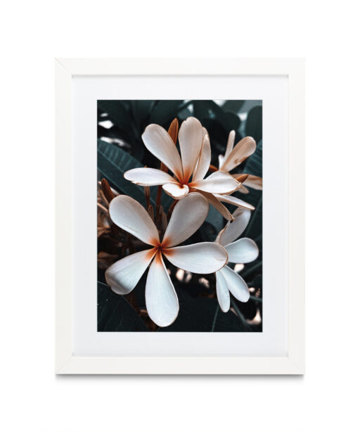 Beach Frangipani Floral FLORES_055 - Image 3
