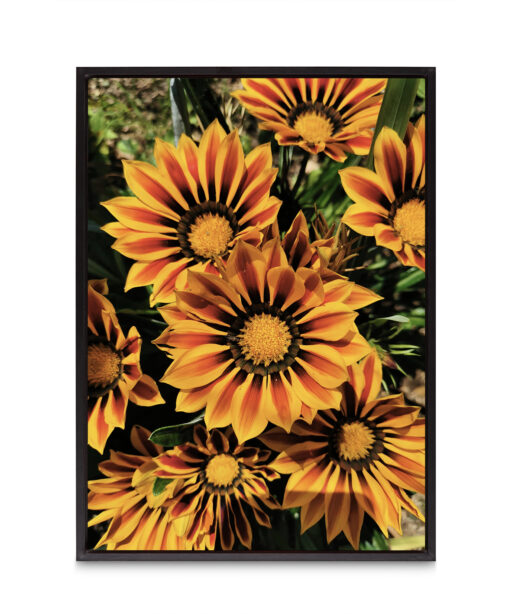 Striped Sunflowers Floral FLORES_064 - Image 8