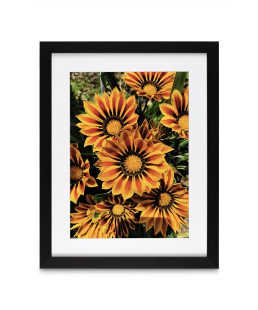 Striped Sunflowers Floral FLORES_064 - Image 4