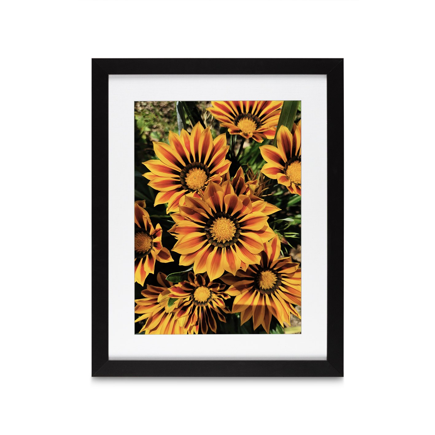 Striped Sunflowers Floral FLORES_064 - Image 4