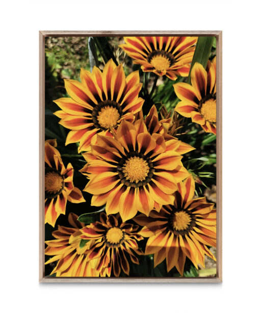 Striped Sunflowers Floral FLORES_064 - Image 5