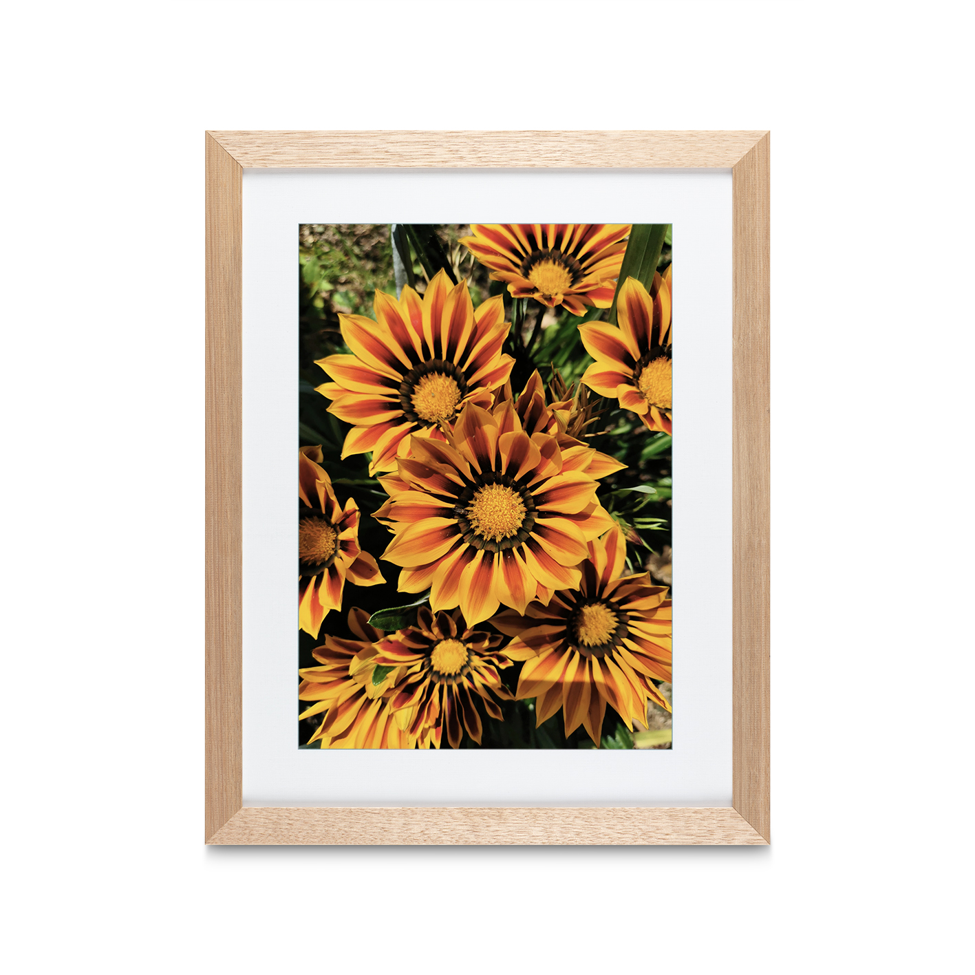 Striped Sunflowers Floral FLORES_064 - Image 2