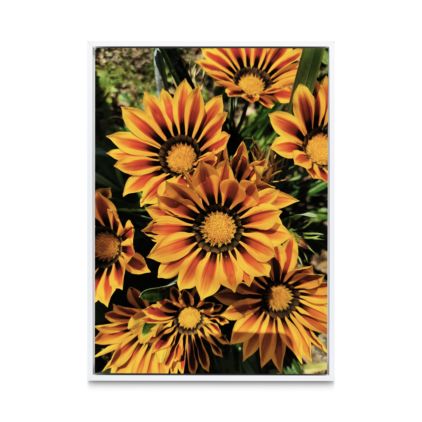 Striped Sunflowers Floral FLORES_064 - Image 6