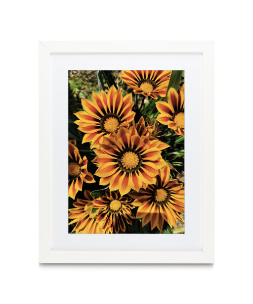 Striped Sunflowers Floral FLORES_064 - Image 3