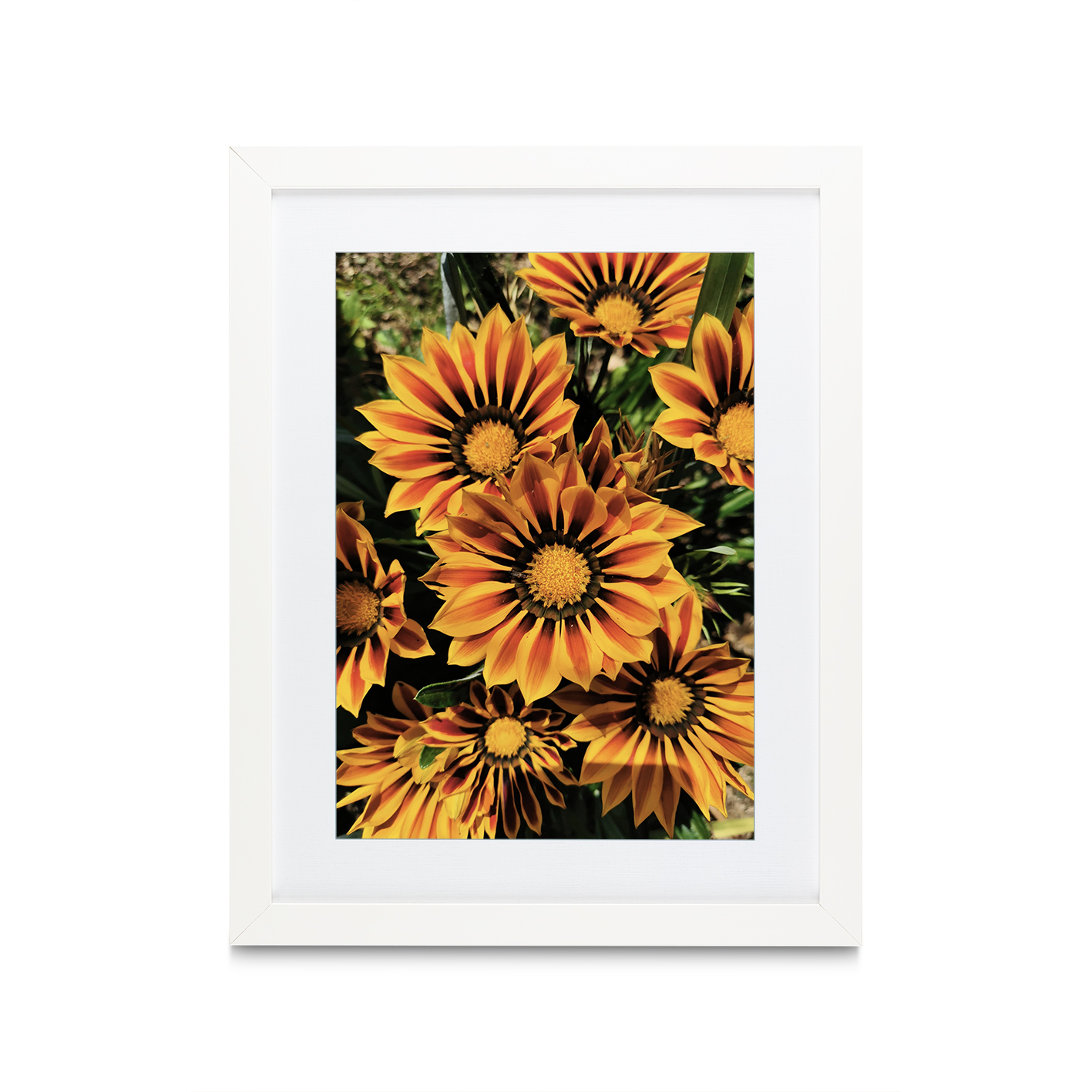 Striped Sunflowers Floral FLORES_064 - Image 3