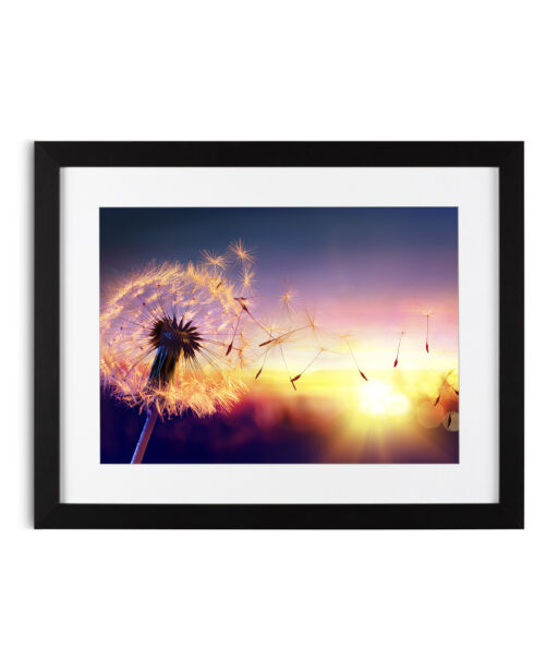 Dandelion Sunset Floral FLORES_118 - Image 4