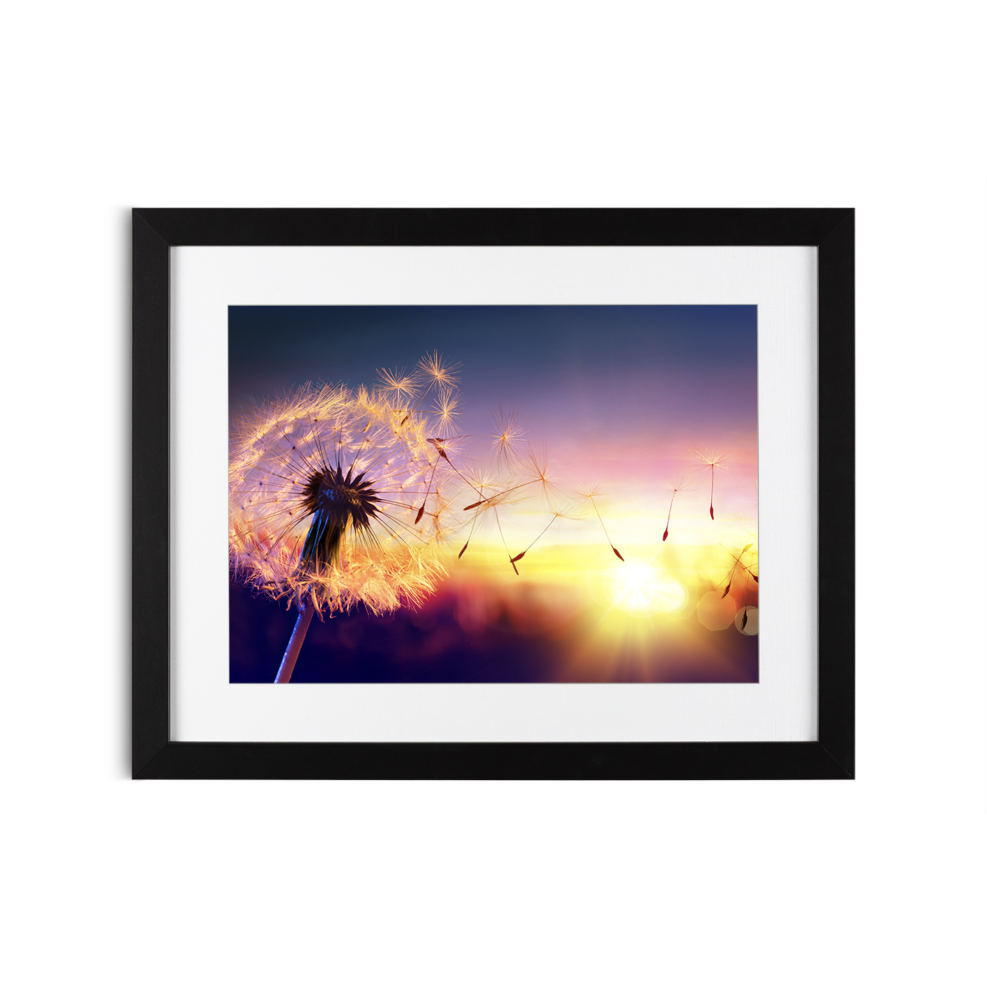 Dandelion Sunset Floral FLORES_118 - Image 4