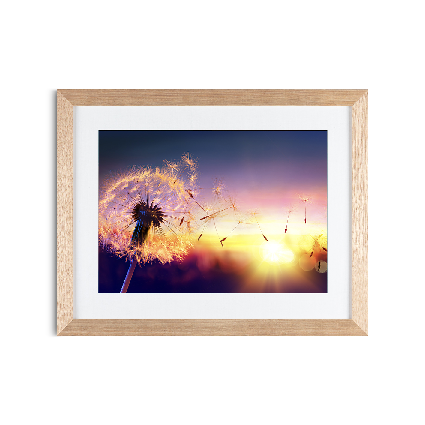Dandelion Sunset Floral FLORES_118 - Image 2