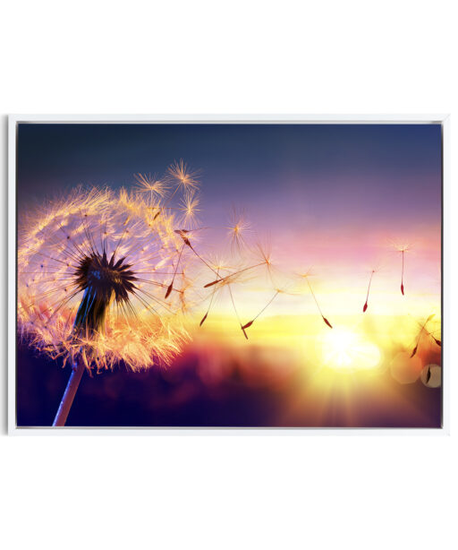 Dandelion Sunset Floral FLORES_118 - Image 6