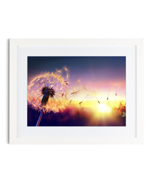Dandelion Sunset Floral FLORES_118 - Image 3