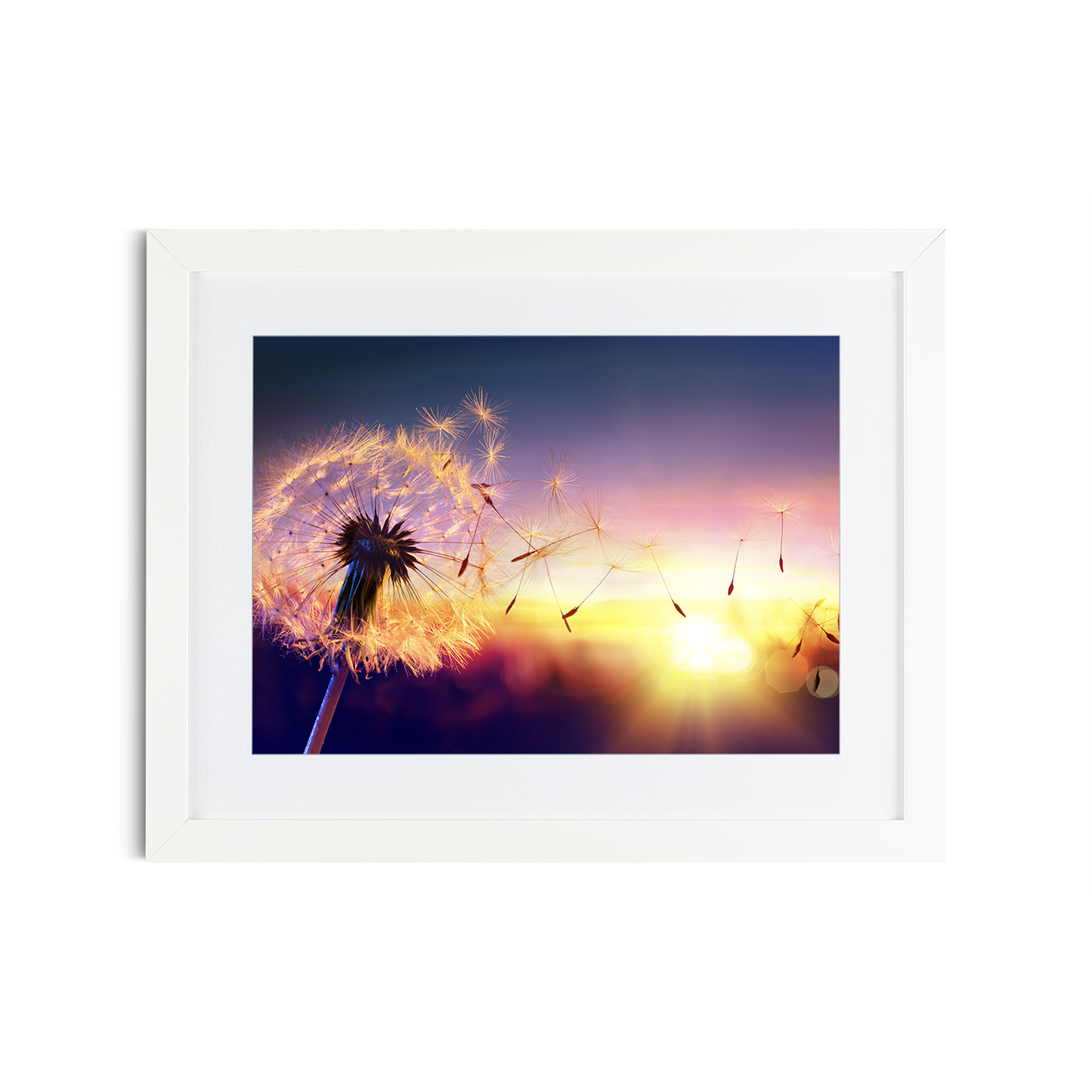 Dandelion Sunset Floral FLORES_118 - Image 3