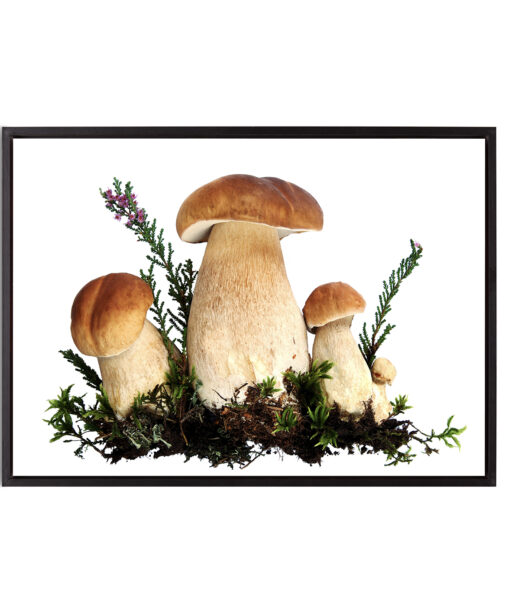 Fungi Kitchen-Coffee FOOD 20 - Image 8