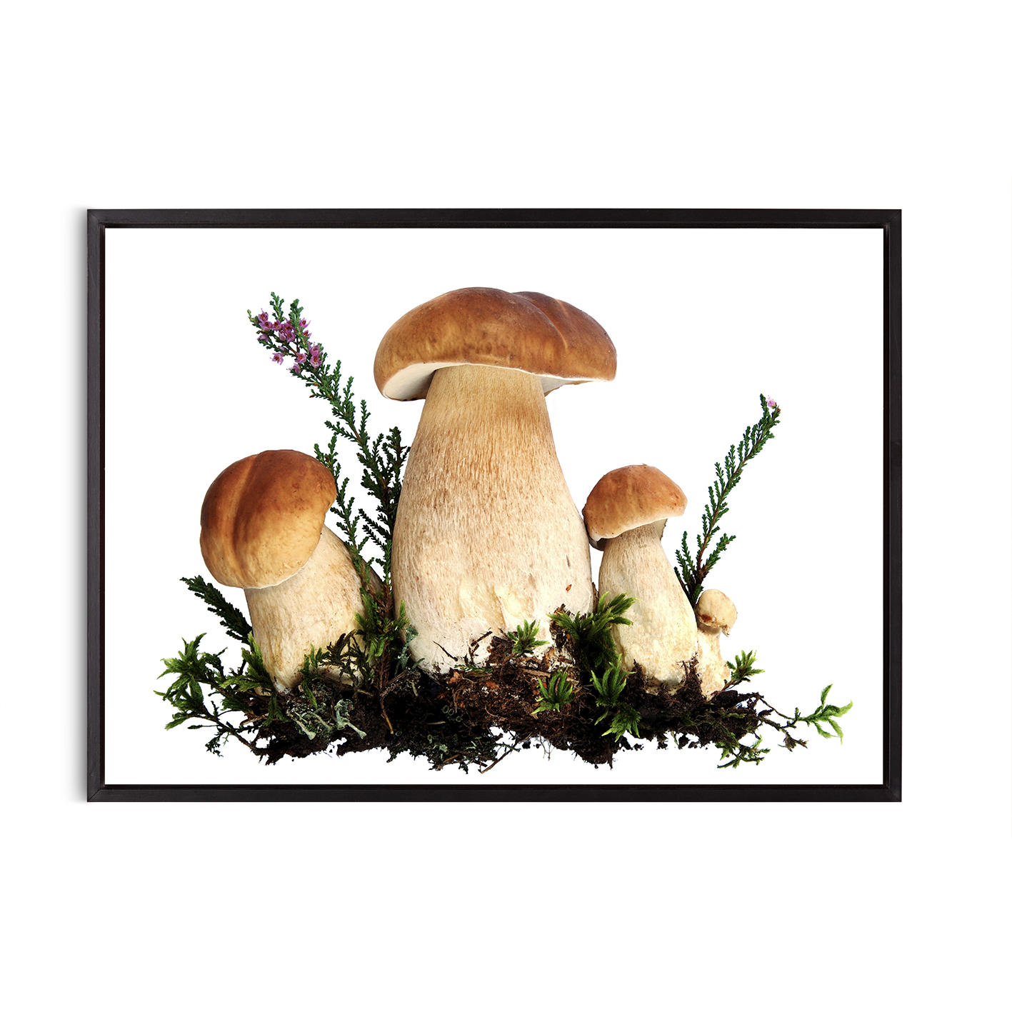 Fungi Kitchen-Coffee FOOD 20 - Image 8
