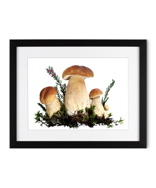 Fungi Kitchen-Coffee FOOD 20 - Image 4