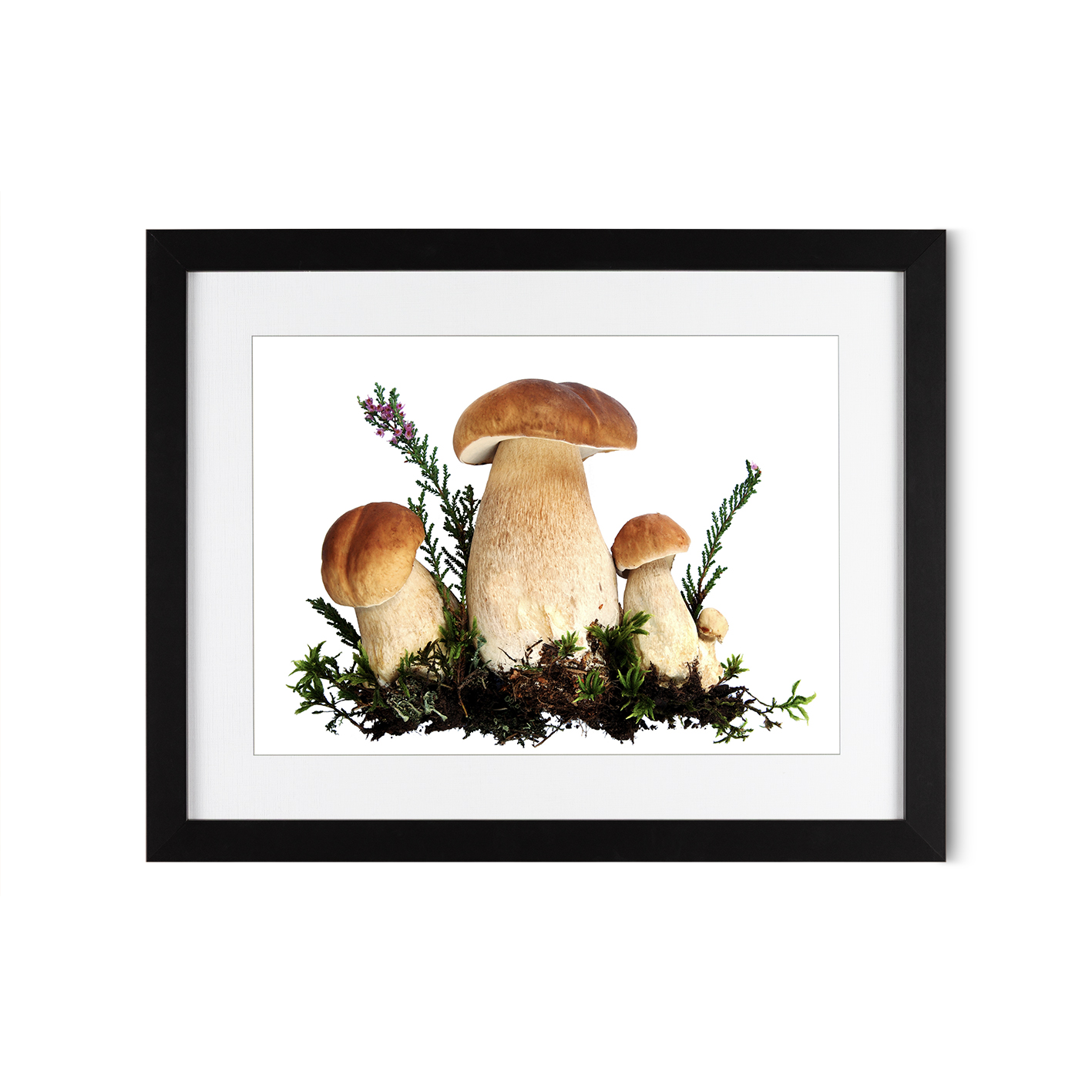 Fungi Kitchen-Coffee FOOD 20 - Image 4