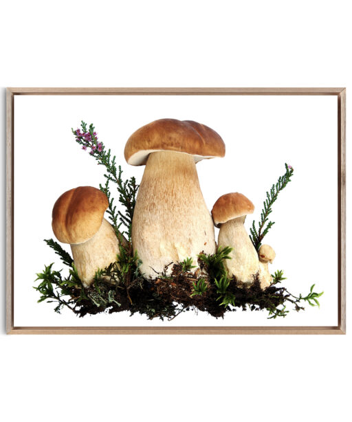 Fungi Kitchen-Coffee FOOD 20 - Image 5