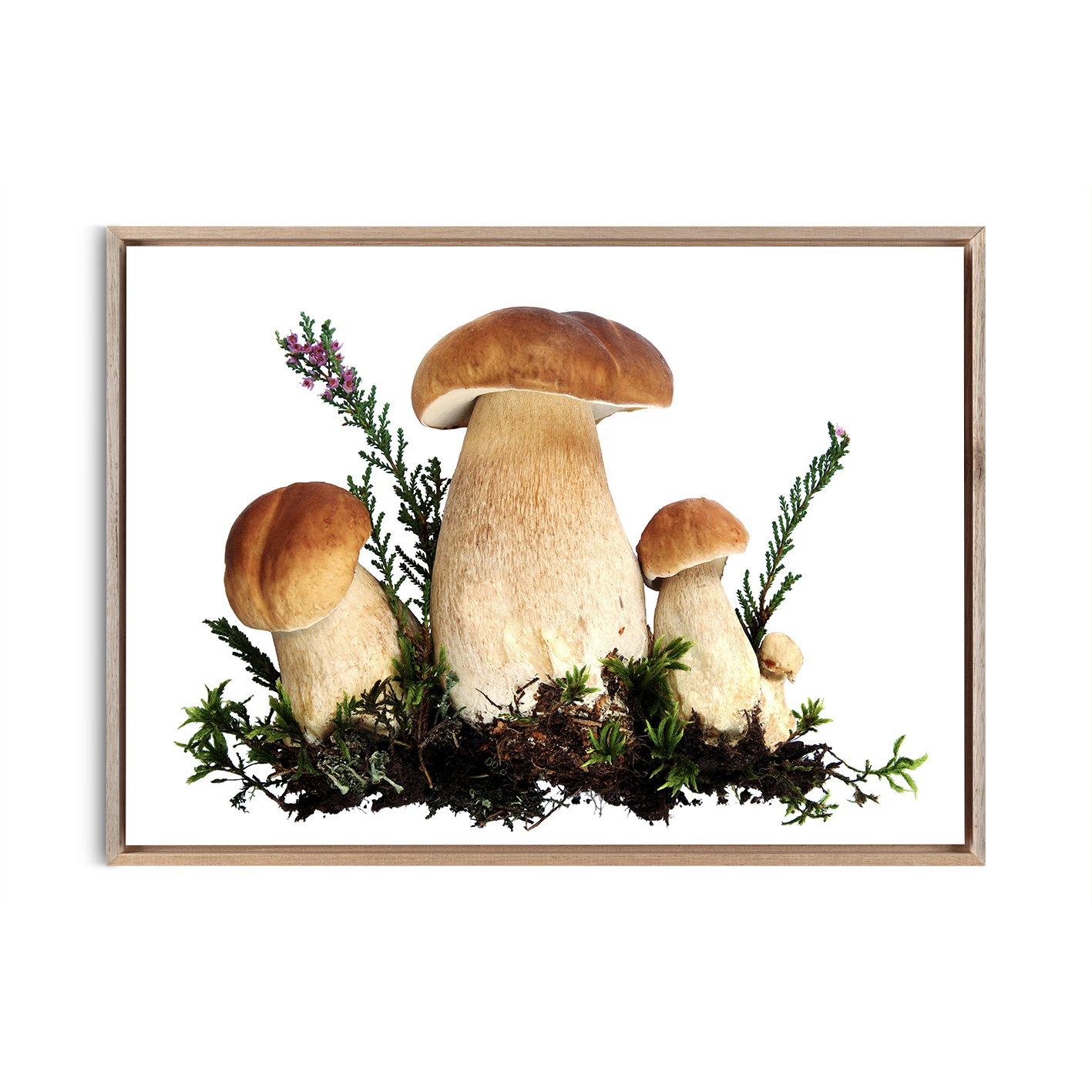 Fungi Kitchen-Coffee FOOD 20 - Image 5