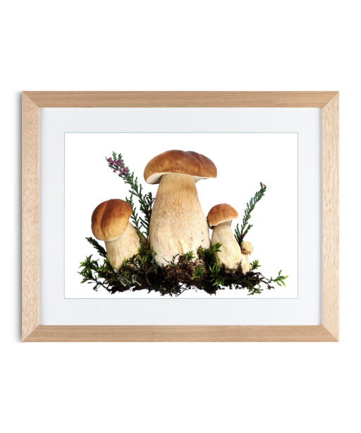 Alternative view of Fungi Kitchen-Coffee FOOD 20