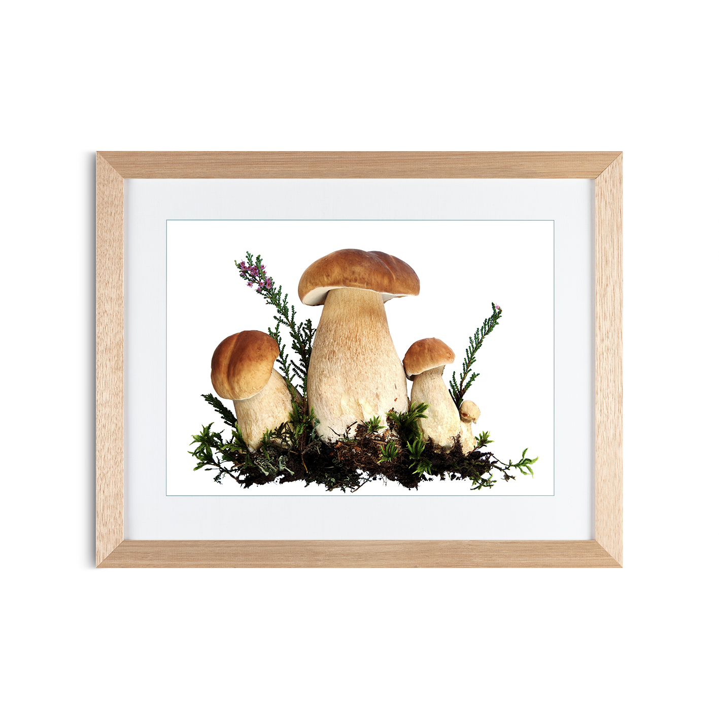 Fungi Kitchen-Coffee FOOD 20 - Image 2