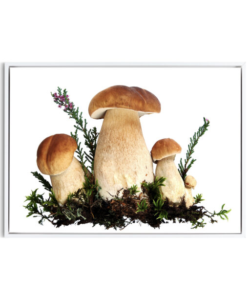 Fungi Kitchen-Coffee FOOD 20 - Image 6