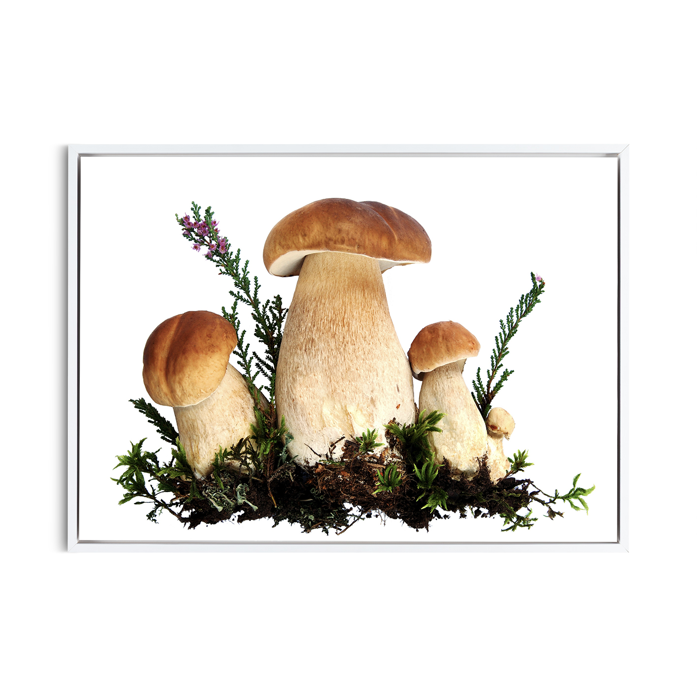 Fungi Kitchen-Coffee FOOD 20 - Image 6