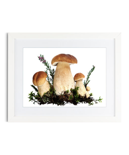 Fungi Kitchen-Coffee FOOD 20 - Image 3